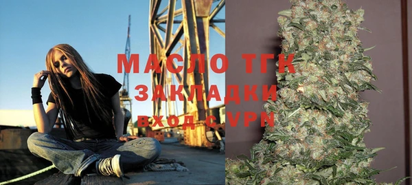 крисы Инсар