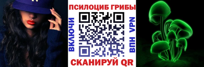 Купить закладки  Нытва  Псилоцибиновые грибы мицелий 